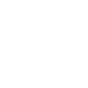 Twitter Icon White